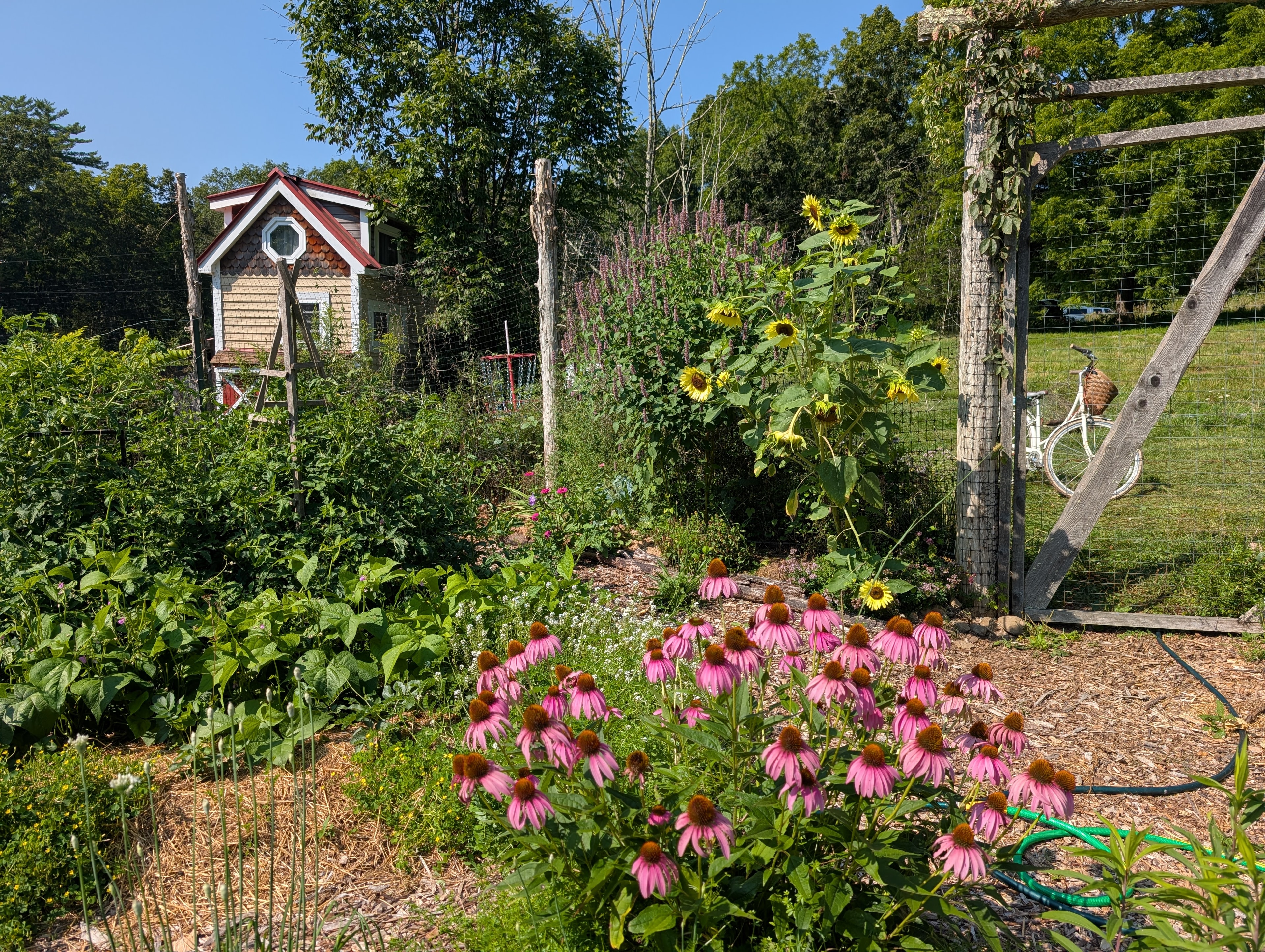 Permaculture Consulting